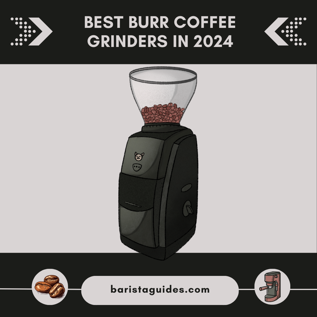 Best Burr Coffee Grinders in 2024